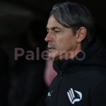 Palermo, Serie B speaks clearly: the points needed for promotion