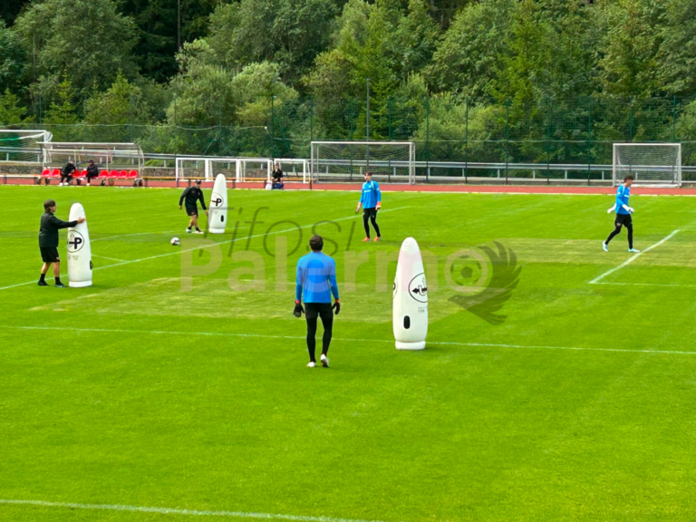 Palermo transfer market, new reinforcement arriving from Serie A?