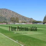 Palermo, preparation for Juve Stabia continues: the training report