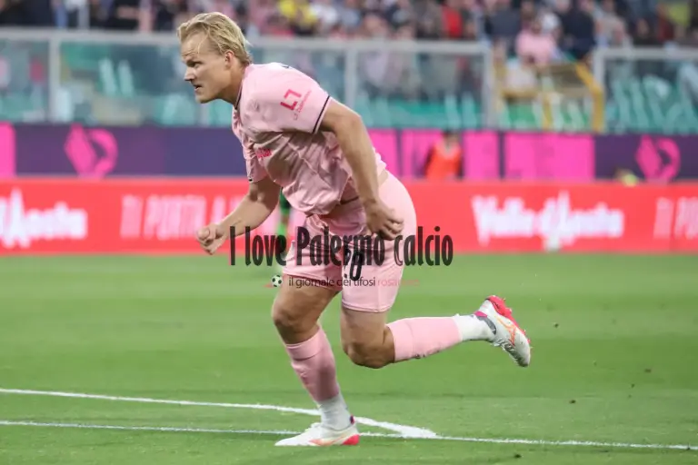 Corriere dello Sport: "Palermo, vice Pohjanpalo puzzle: Le Douaron is...