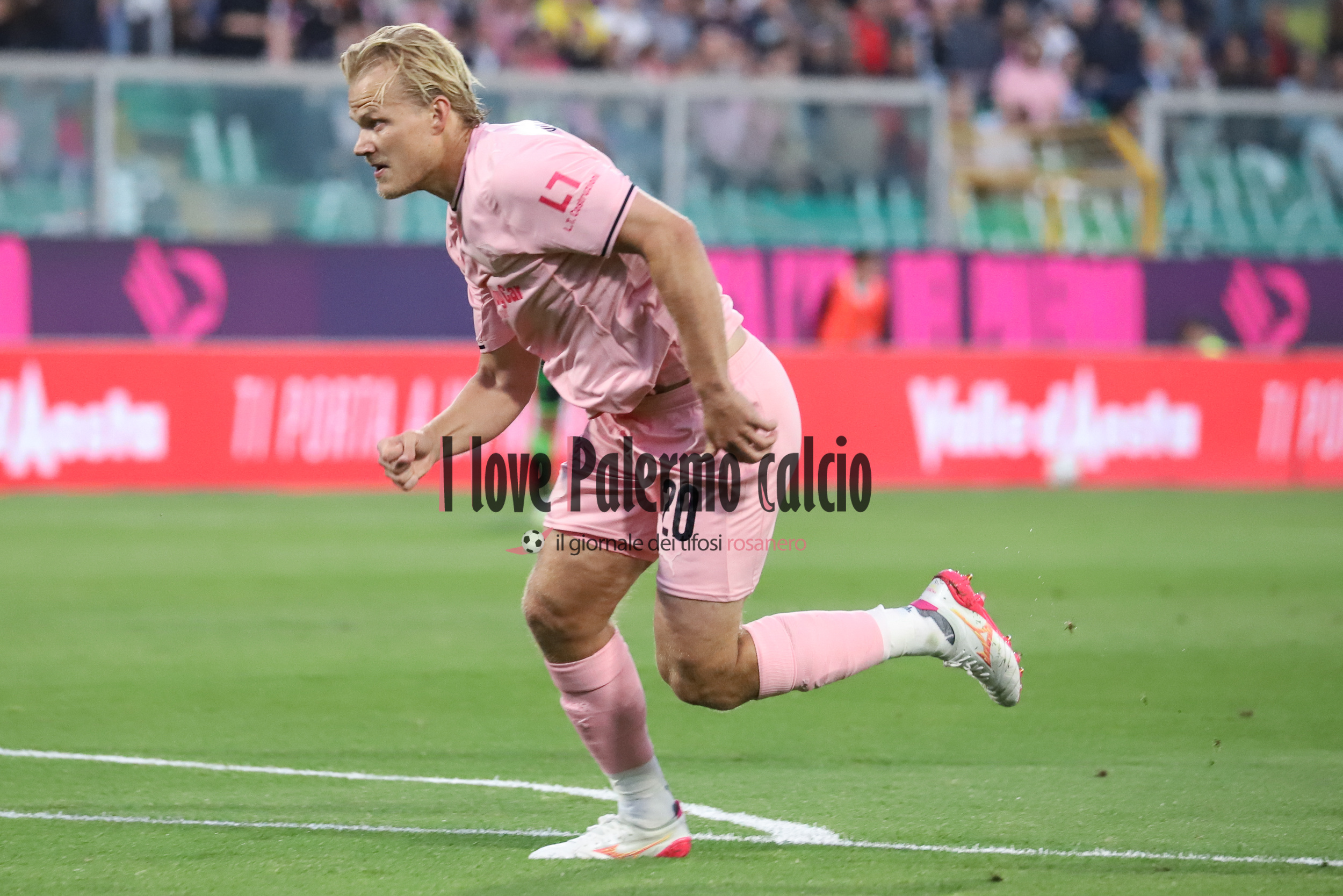 Corriere dello Sport: "Palermo, vice Pohjanpalo puzzle: Le Douaron is...