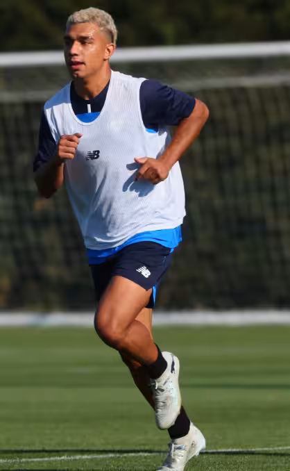 Giornale di Sicilia: "Palermo, Vavassori is the seventh shot. Inzaghi...