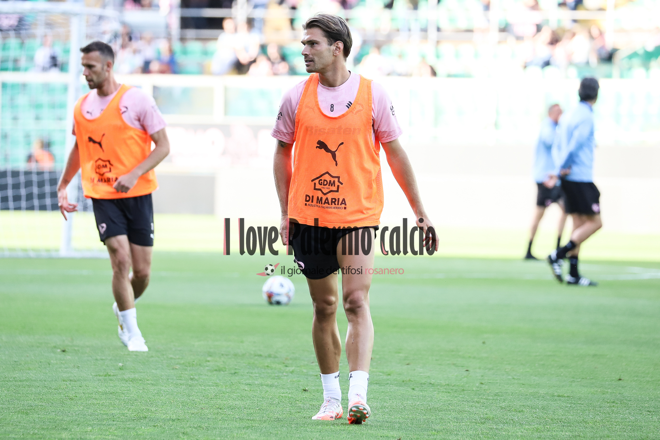 Palermo, Verona pressing on Segre: first offer of 750 thousand euros,...