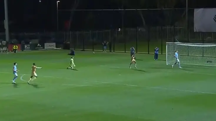 Palermo ahead at half-time: Le Douaron scores the 1-0 against...