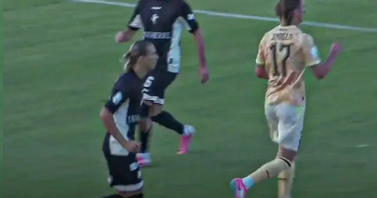 Arezzo-Palermo 0-1: follow the live commentary of the...