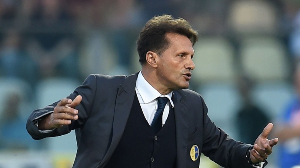 Novellino crowns Palermo: «I like it a lot, I don't see superior...