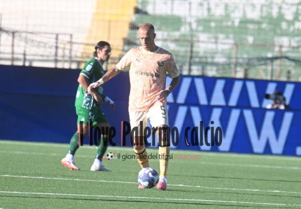 Avellino-Palermo 1-1, the bulletins: votes and judgments of...