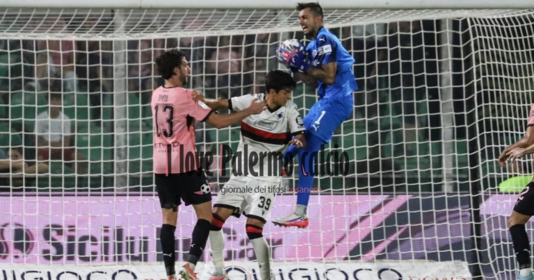 Palermo-Sampdoria 3-1, rosanero party at the Barbera