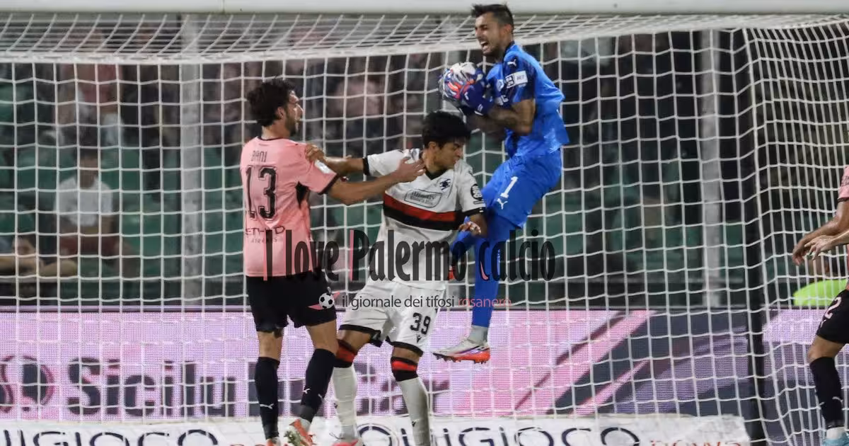 Palermo-Sampdoria 3-1, rosanero party at the Barbera