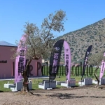 Palermo, morning session in Torretta: Inzaghi works on