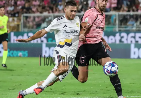 Palermo: "Bani wants to be against Carrarese. Inzaghi