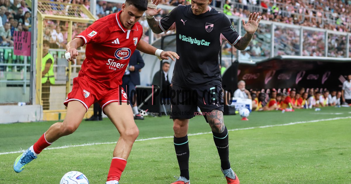 "Palumbo: "He was in great shape, it will serve a great