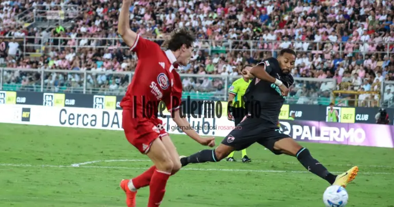 "Stop Palumbo. On the right is Cassandro, the likely