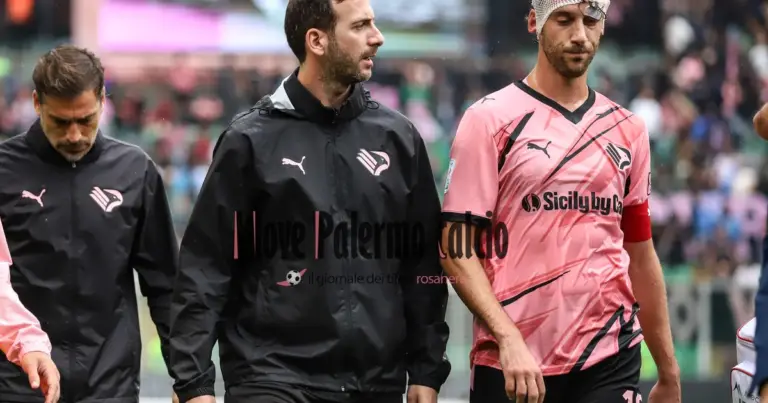 , Bani: "Vavassori has important qualities. Hernani will