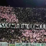"Palermo-Carrarese, the Barbera towards 33 thousand