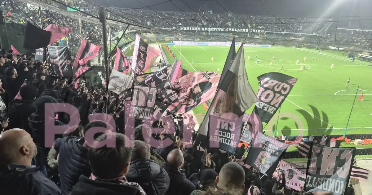 Ascoli-Palermo: the measures arranged by the National